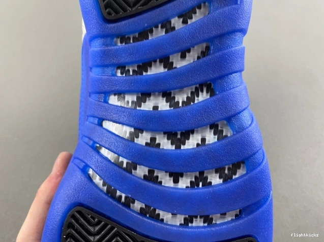 12 Air CT8013-140 Jordan Blueberry 1006